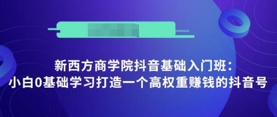 抖音基础入门班：小白0基础学习打造一个高权重赚钱的抖音号-MG轻创项目网