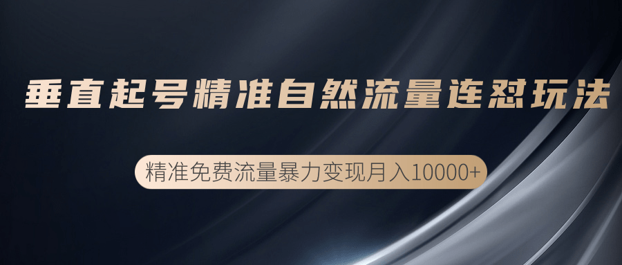 垂直起号精准自然流量连爆玩法，精准引流暴力变现月入10000+-MG轻创项目网