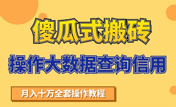 搬砖操作大数据查询信用项目赚钱教程，祝你快速月入6万-MG轻创项目网