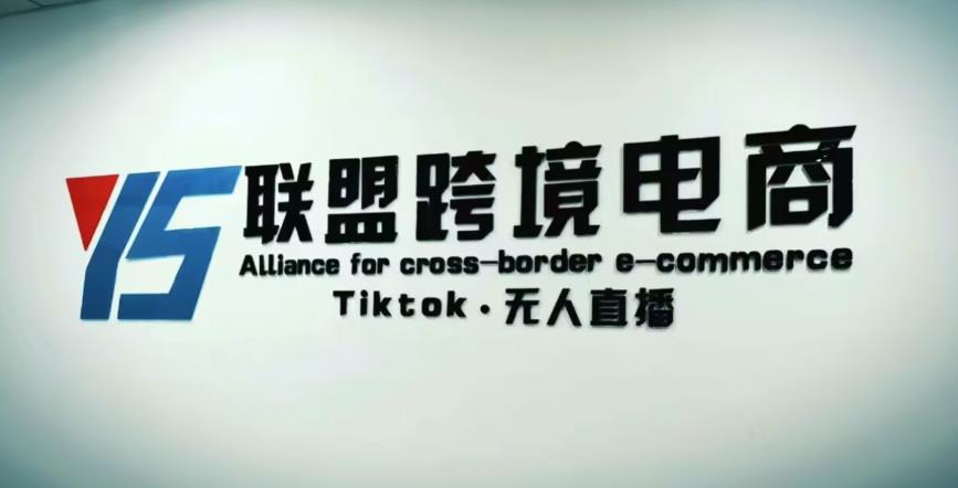 YS联盟·Tiktok无人直播，不出镜不剪辑不拍摄不发货无售后的跨境短视频躺赚玩法-MG轻创项目网