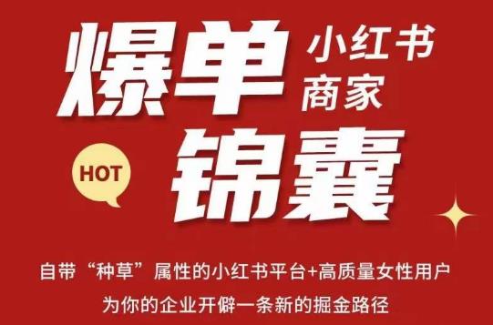 无畏·小红书商家爆单锦囊，掌握小红书各大规则，快速精准抢占行业和市场-MG轻创项目网