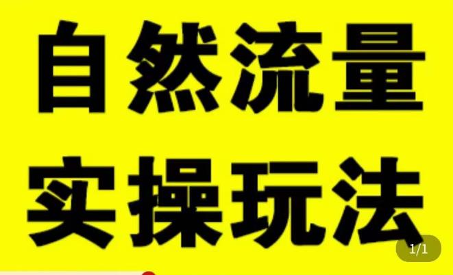 拼多多自然流量天花板，拼多多自然流的实操玩法，自然流量是怎么来的，如何开车带来自然流等知识-MG轻创项目网