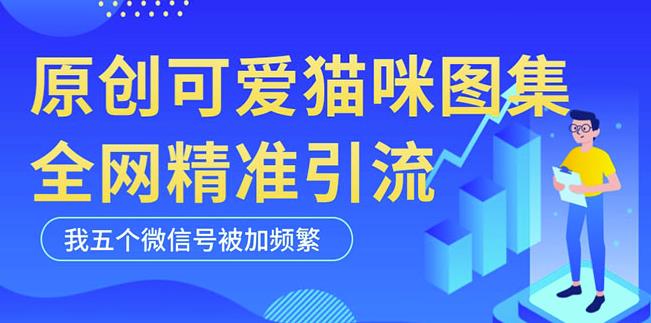 黑科技纯原创可爱猫咪图片，全网精准引流，实操5个VX号被加频繁-MG轻创项目网