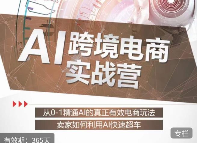 白龙老师·AI跨境电商实战营：从0-1精通Al的真正有效电商玩法，卖家如何利用Al快速超车-MG轻创项目网