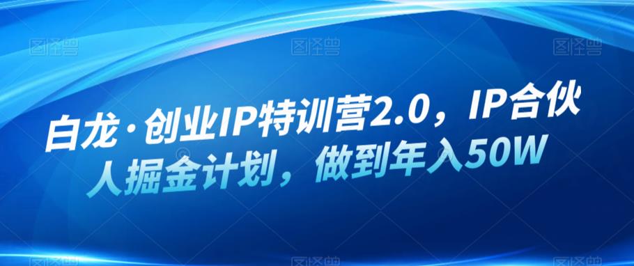 白龙·创业IP特训营2.0，IP合伙人掘金计划，做到年入50W-MG轻创项目网