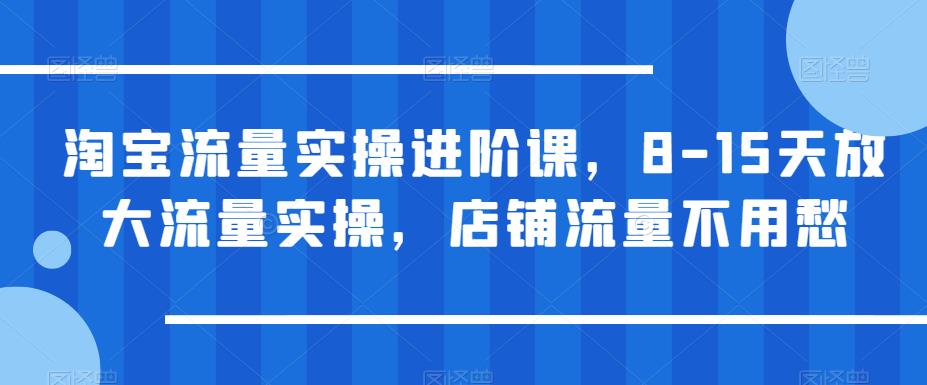 淘宝流量实操进阶课，8-15天放大流量实操，店铺流量不用愁-MG轻创项目网