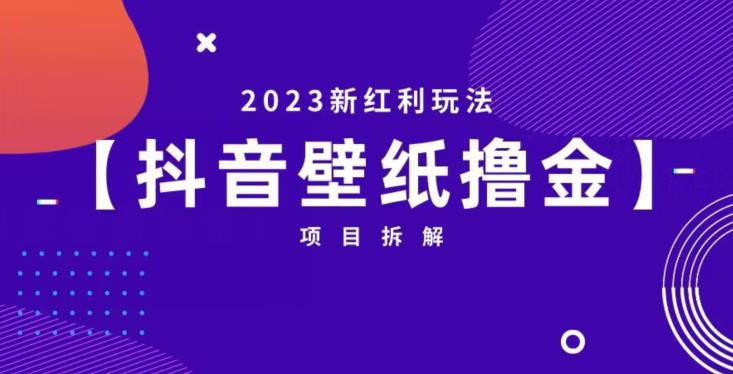 抖音壁纸小程序创作者撸金项目，2023新红利玩法【项目拆解】-MG轻创项目网