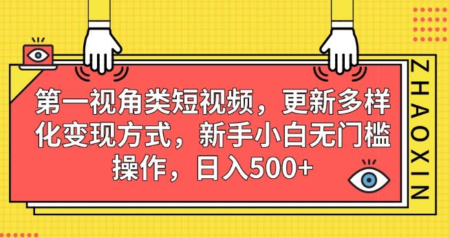 第一视角类短视频，更新多样化变现方式，新手小白无门槛操作，日入500+【揭秘】-MG轻创项目网