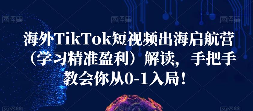 海外TikTok短视频出海启航营（学习精准盈利）解读，手把手教会你从0-1入局！-MG轻创项目网