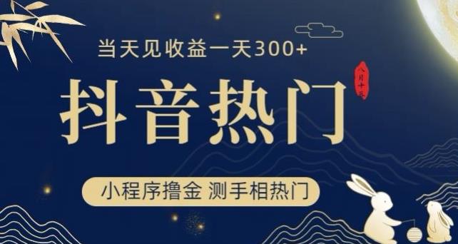 抖音最新小程序撸金，测手相上热门，当天见收益一小时变现300+【揭秘】-MG轻创项目网