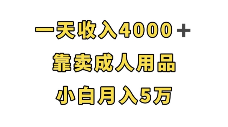 一天收入4000+，靠卖成人用品，小白轻松月入5万【揭秘】-MG轻创项目网