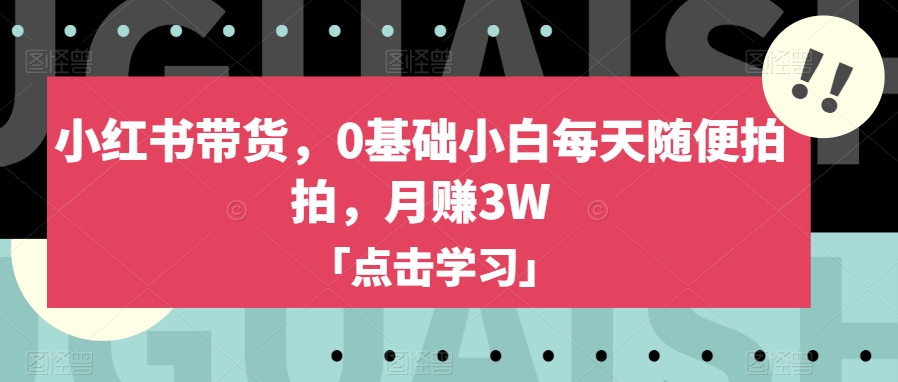 小红书带货，0基础小白每天随便拍拍，月赚3W【揭秘】-MG轻创项目网