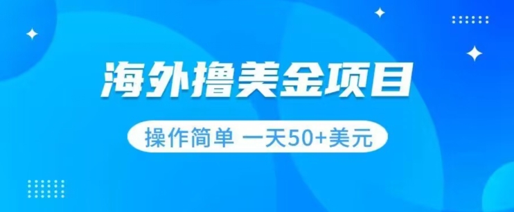 撸美金项目无门槛操作简单小白一天50+美刀-MG轻创项目网