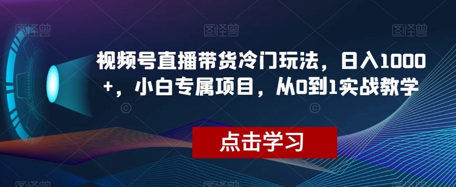 视频号直播带货冷门玩法，日入1000+，小白专属项目，从0到1实战教学【揭秘】-MG轻创项目网