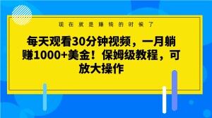 每天观看30分钟视频，一月躺赚1000+美金！保姆级教程，可放大操作【揭秘】-MG轻创项目网