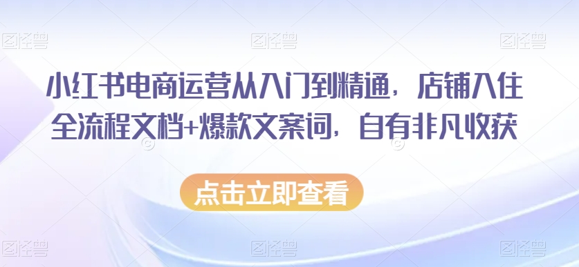 小红书电商运营从入门到精通，店铺入住全流程文档+爆款文案词，自有非凡收获-MG轻创项目网