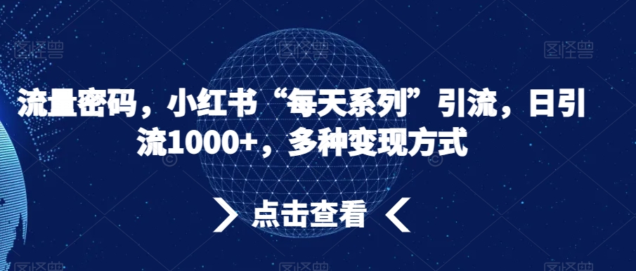 流量密码，小红书“每天系列”引流，日引流1000+，多种变现方式【揭秘】-MG轻创项目网