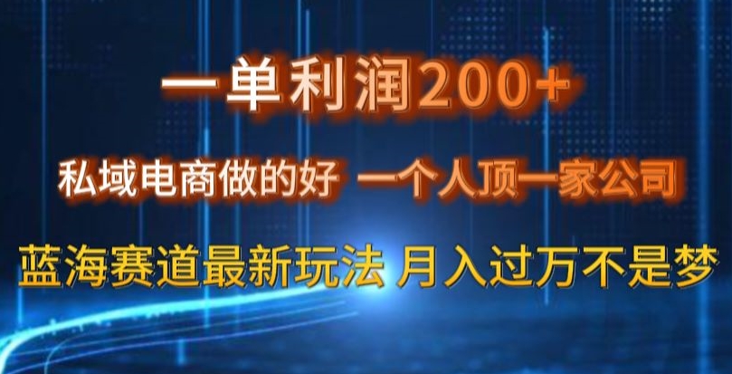 一单利润200私域电商做的好，一个人顶一家公司蓝海赛道最新玩法【揭秘】-MG轻创项目网