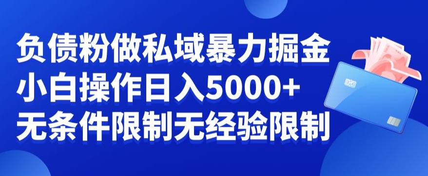 负债粉私域暴力掘金，小白操作入5000，无经验限制，无条件限制【揭秘】-MG轻创项目网