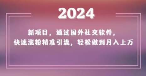 2024新项目，通过国外社交软件，快速涨粉精准引流，轻松做到月入上万【揭秘】-MG轻创项目网