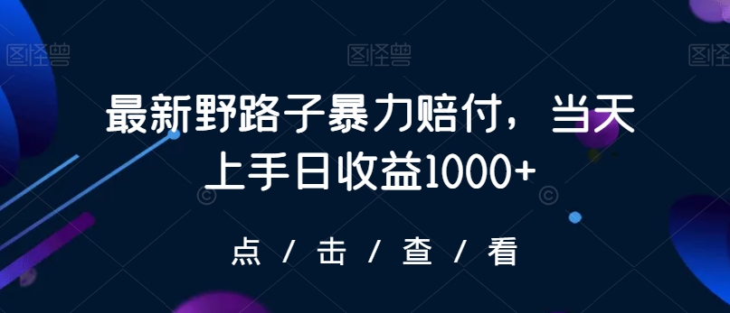 最新野路子暴力赔付，当天上手日收益1000+【仅揭秘】-MG轻创项目网