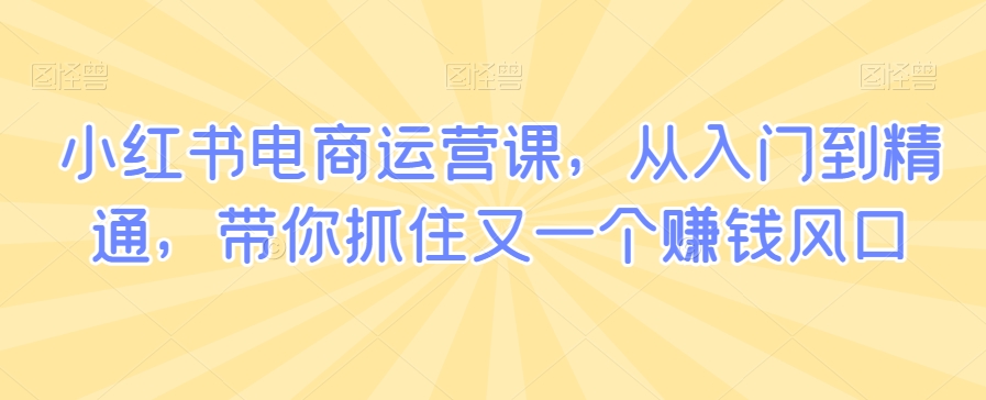 小红书电商运营课，从入门到精通，带你抓住又一个赚钱风口-MG轻创项目网