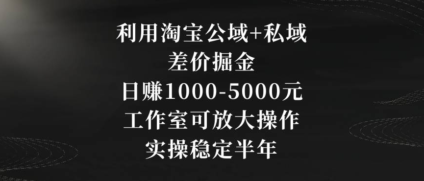 利用淘宝公域+私域差价掘金，日赚1000-5000元，工作室可放大操作，实操稳定半年【揭秘】-MG轻创项目网