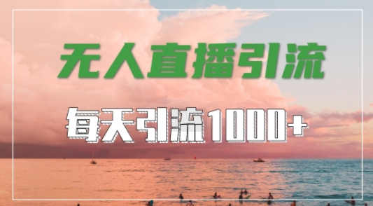 抖音快手视频号全平台通用，无人直播引流法，超暴力引流1000+高质量精准创业粉【揭秘】-MG轻创项目网