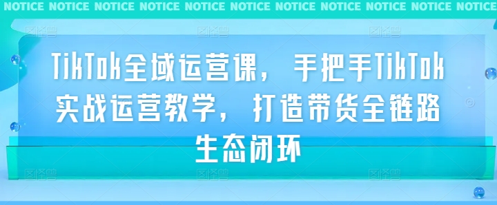 TikTok全域运营课，手把手TikTok实战运营教学，打造带货全链路生态闭环-MG轻创项目网