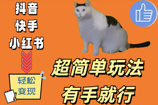 超简单玩法，有手就行，靠猫咪视频日入500+【揭秘】-MG轻创项目网